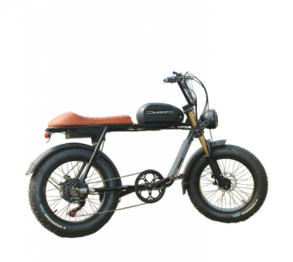 Электровелосипед AKEZ BULLY 48V18Ah
