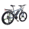 Электровелосипед AKEZ АК3-EM039 36V10Ah серый