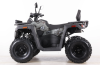 Бензиновый квадроцикл MOTAX GRIZLIK T250 BASIC коричневый