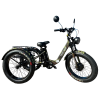 Электровелосипед SmartBalance Tank Trike